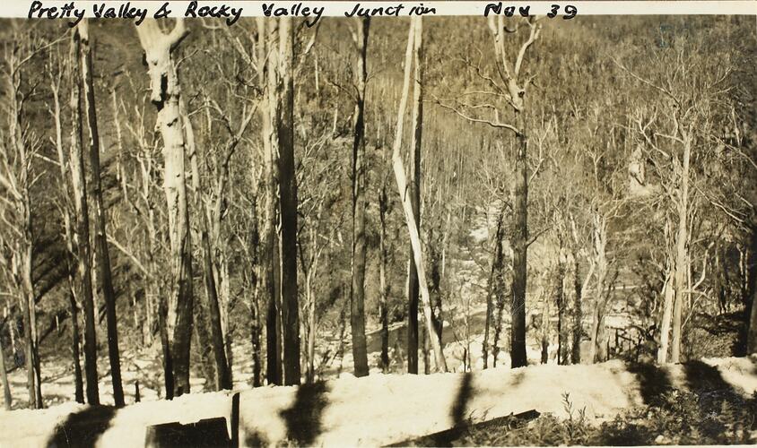 Photograph - Pretty & Rocky Valley Junction, Kiewa, Victoria, Nov 1939