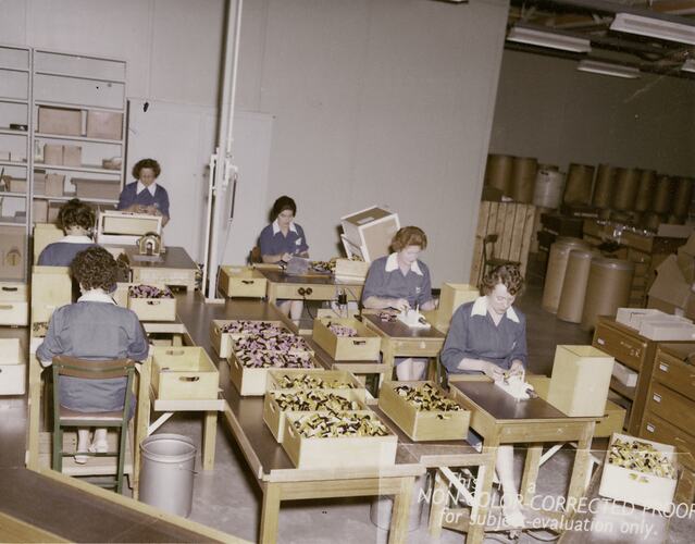 Six women working at desks in a Kodak factory.
