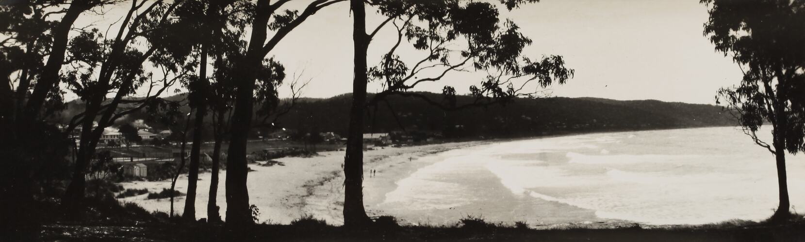 Photograph - Coastal Landscape, Lorne, Victoria, circa 1920s