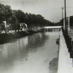 canal with trees lining the left side and sidewalk along the right.