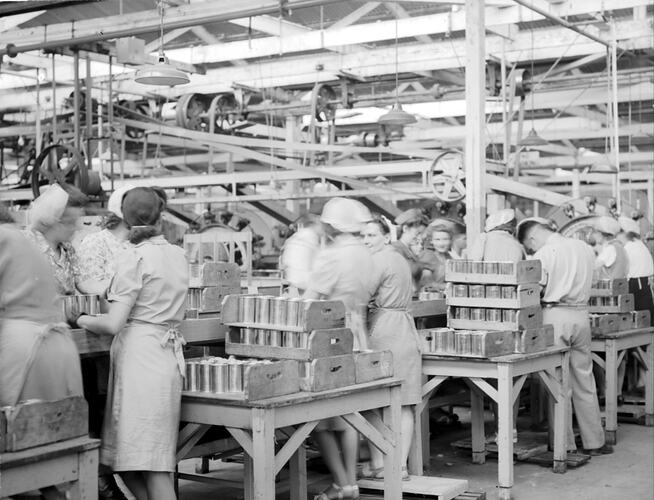 [Canning apricots at the Ardmona Fruit Packing Company, Mooroopna, January 1946.]