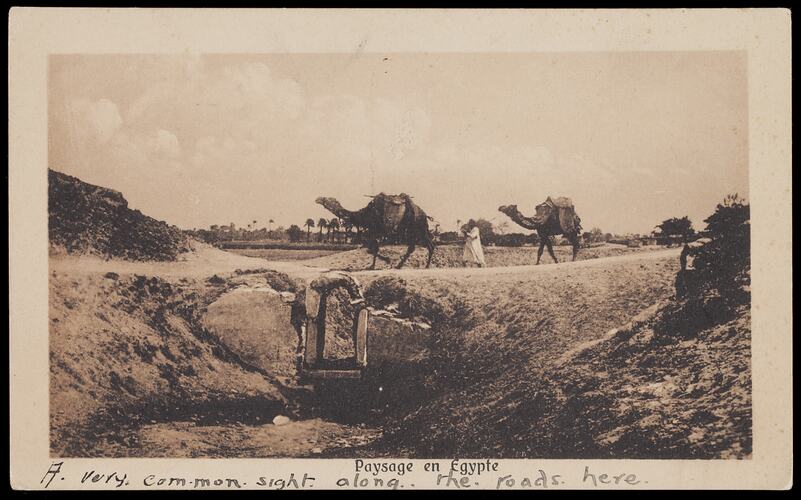 Postcard - 'Paysage en Egypte', Edgar James McCarthy, World War I, 15 Jul 1916