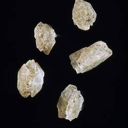 Five cream-coloured mineral specimens.