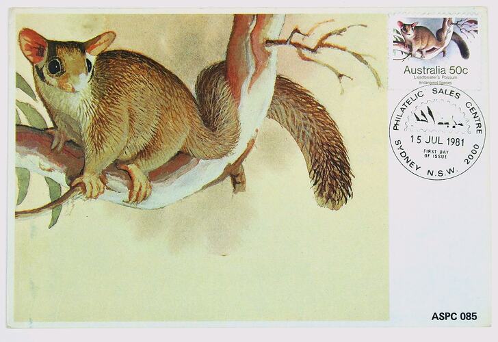 Maximum Card - Leadbeater's Possum, Endangered Species, 50 cent, Australia, 1981