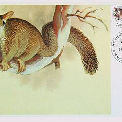 Maximum Card - Leadbeater's Possum, Endangered Species, 50 cent, Australia, 1981