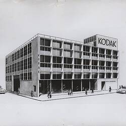 Print - Kodak Australasia Pty Ltd, Presentation Drawing of Adelaide Headquarters, circa 1955