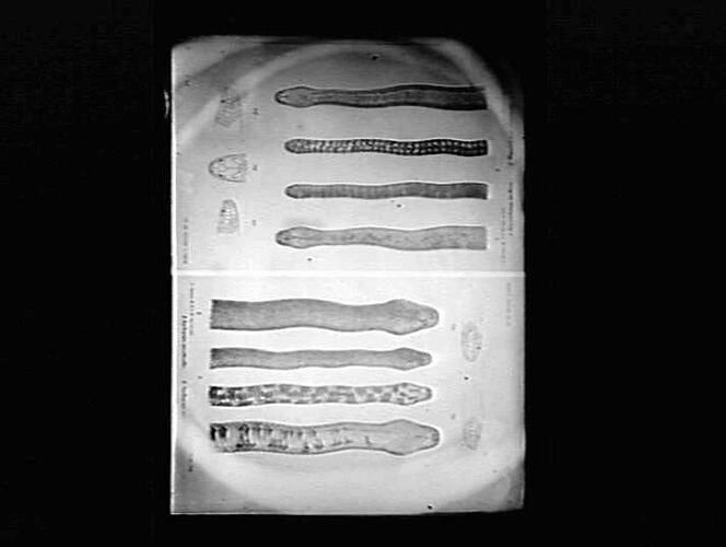 Negative - Glass