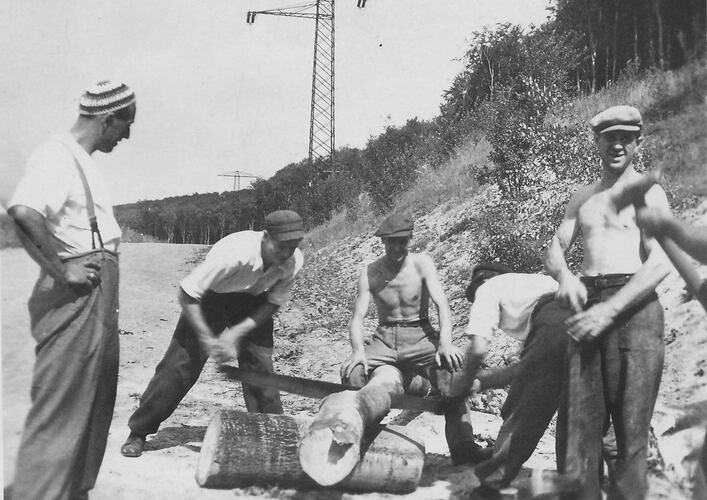 Men Cutting Fire Wood, Salzgitter Region, Germany, 1946