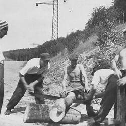 Digital Photograph - Men Cutting Fire Wood, Salzgitter Region, Germany, 1946