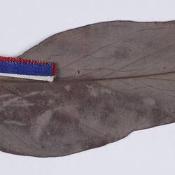 Leaf with red, white and blue ribbon attached to top, underside view.