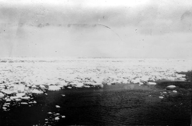 Photograph - by George Rayner, Biscoe Island, Antarctica, 1927-1939