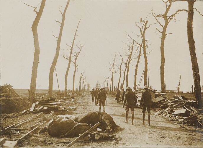 Soldiers walking down road with dead horses.
