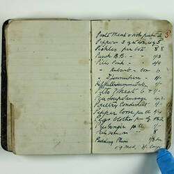 Inside pages, hand-written, of black book.