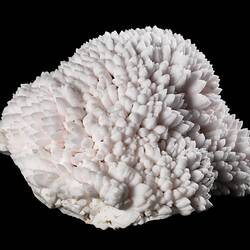 Pale pink mineral specimen.