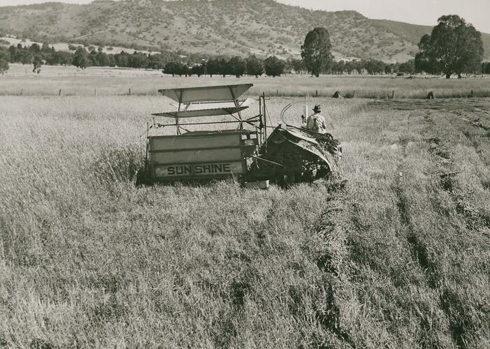 Man driving tractor in field towing a Reaper Binder.
