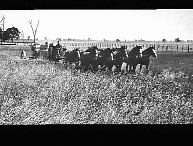 10FT. CHAIN DRIVE HEADER ON MR.C.CHRISTIE'S FARM