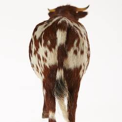 Model of brown and white bull. Rear view.