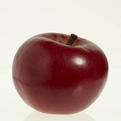 Wax model of an apple with stem, painted dark red, with brown stem.
