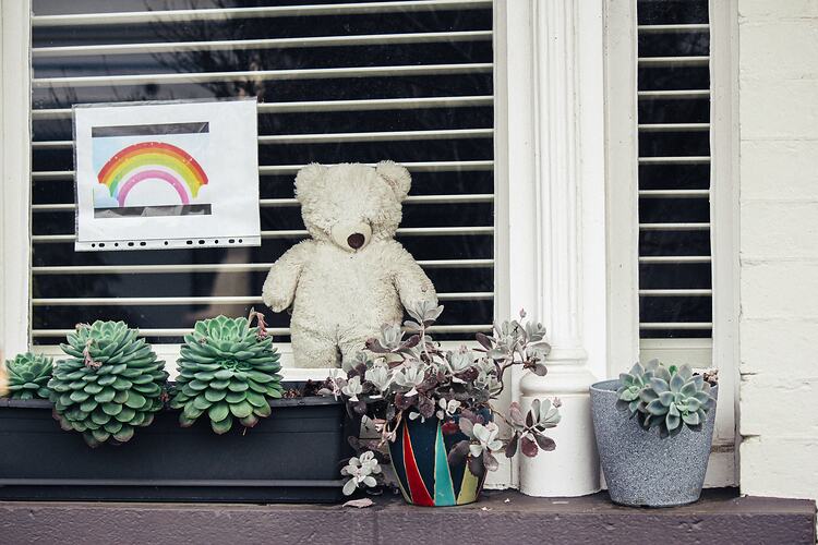Teddy bear and rainbow drawing placed in window. Flower pots on window sill.