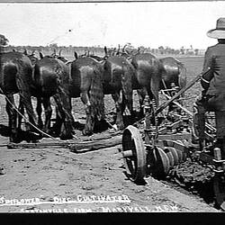 Photograph - Sunshine Harvester Works, Horse-drawn Sunflower Disc Culivator, Maryvale, New South Wales, circa 1920