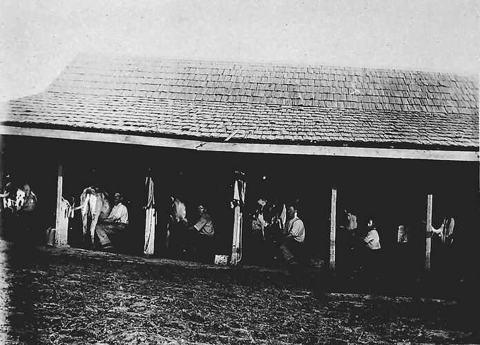 [A 'six stall' milking shed, Mirboo North, about 1905. Mirboo North lay in the heart of rich dairy country cleared in the late nineteenth century.]