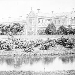 Negative - Melbourne University, Parkville, Victoria, circa 1885