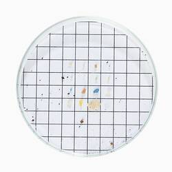 Paint chips, deep sea garbage collected during the Museums Victoria and partners 'Sampling the Abyss' voyage on the RV <em>Investigator</em>.