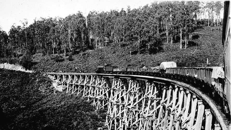Trestle bridge, Noojee, 1934.