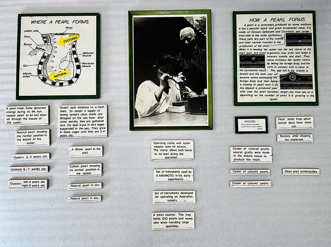 Twenty one white labels of varying size with black text and graphics