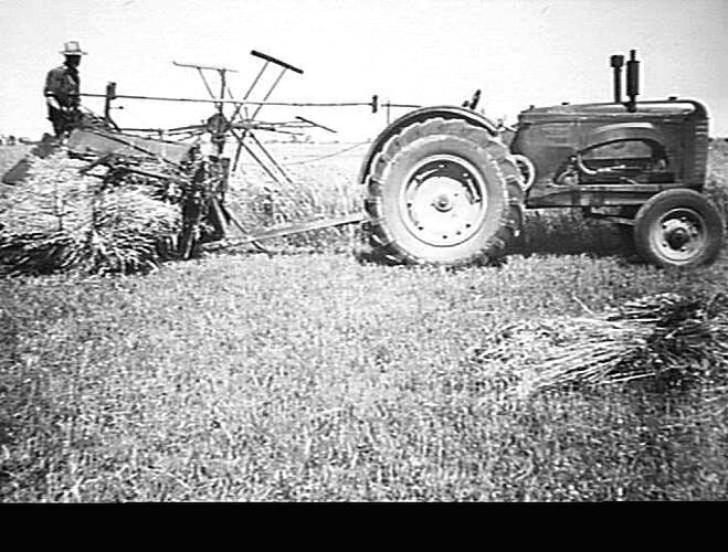 NOS. 2 & 3. 8FT SUNSHINE BINDER AND 102 TRACTOR (ONE MAN CONTROL) A.L. BARBER, SHAWS ROAD, TANNEIT (DO NOT HOLD NEGS.). 1946.