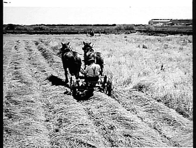 EXPERIMENTAL MOWER ISLINGTON SEWERAGE FARM S.A.