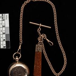 Gold chain with "T", round gold case and rectangular brown pendant.