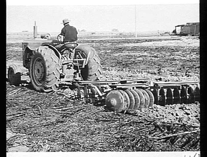 MACLEAN BROS. 744D & `SUNTRAC': AYR: AUGUST 1953