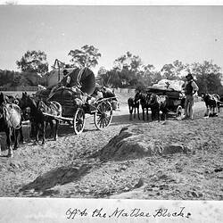 Photograph - 'Off to the Mallee Blocks', by A.J. Campbell, Echuca District, Victoria, 1894