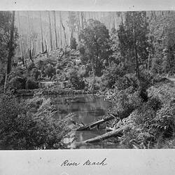 Photograph - 'River Reach', Yarra River, by A.J. Campbell, Warburton, Victoria, 1895