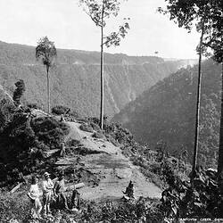 Negative - Workers, Campoven Creek, Cairns, Queensland, circa 1890