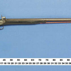 Musket - Belgium, Percussion, early 19th century