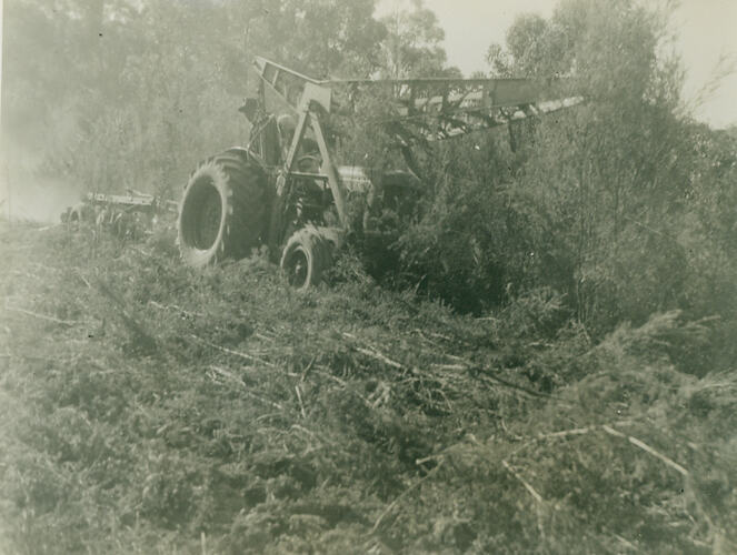 Photograph - Tractor pulling a disc cultivator