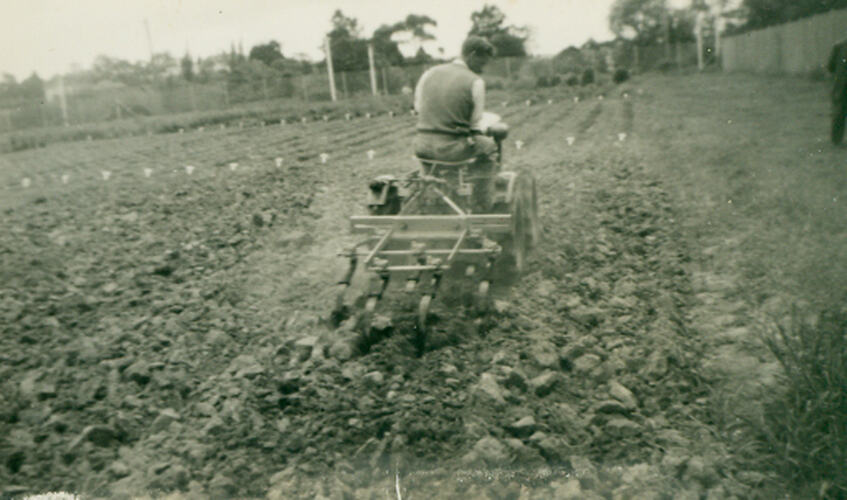 Photograph - Tractor towing a wheeled stuble mulcher