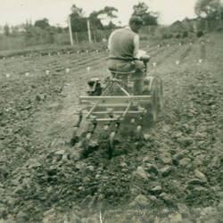 Photograph - Daniel Harvey Pty Ltd, Tractor Towing a Wheeled Stuble Mulcher, Victoria, circa 1920s-1940s