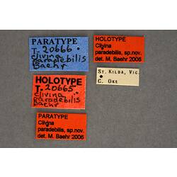 Handwritten specimen labels.