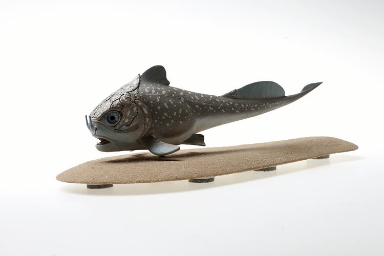 Model of extinct fish.