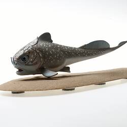Model of extinct fish.