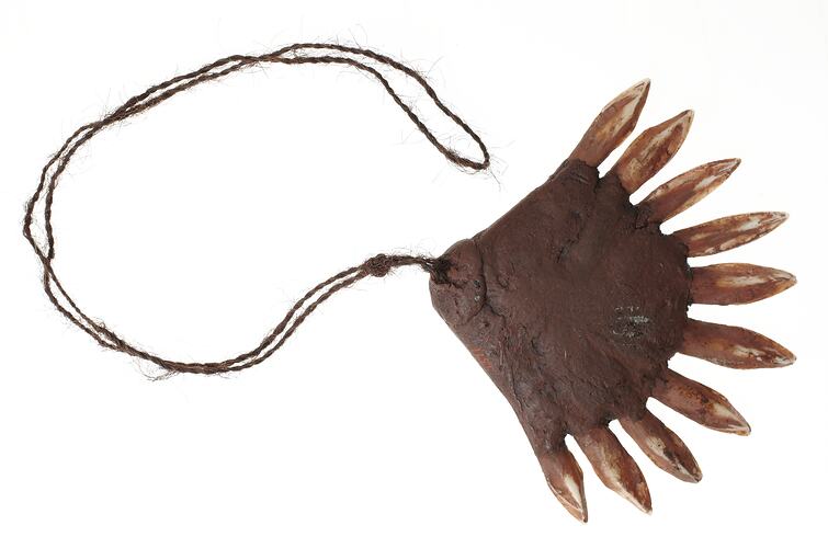 Ornament, unidentified, Australia, Central Australia