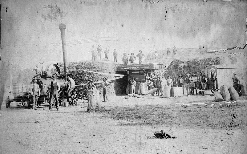 Men using threshing machine, preparing harvest crop.