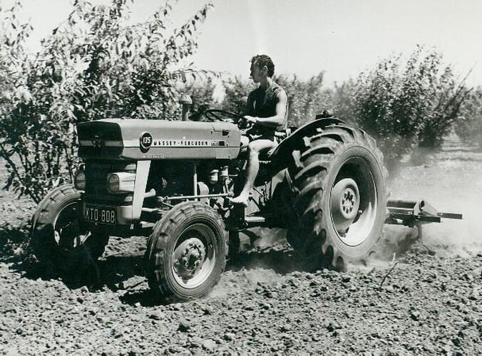 Man driving a tractor with a tiller cultivating land in an orchard.