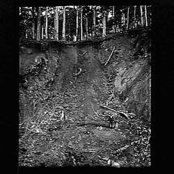 Glass Negative - Landslide, by A.J. Campbell, Dandenong Ranges, Victoria, circa 1900