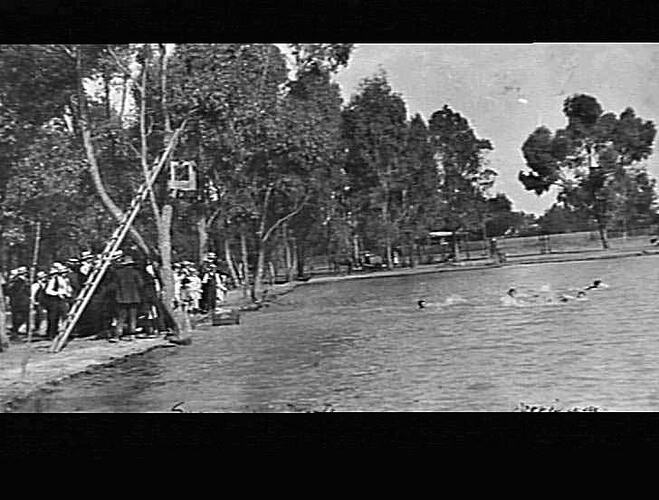 [Swimming races at Park Dam, Merrigum, near Shepparton, about 1910.]