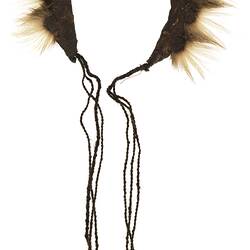 Ornament, head, Australia, North