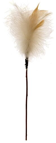 Ornament, unidentified, Australia, Kimberley